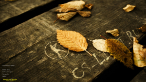 Скачать CS 1.6 Autumn Edition